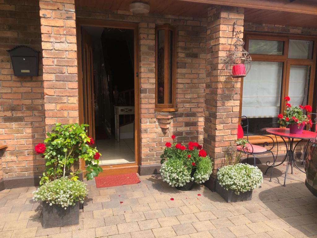 Beechtree House Bed and Breakfast Leixlip Exteriör bild